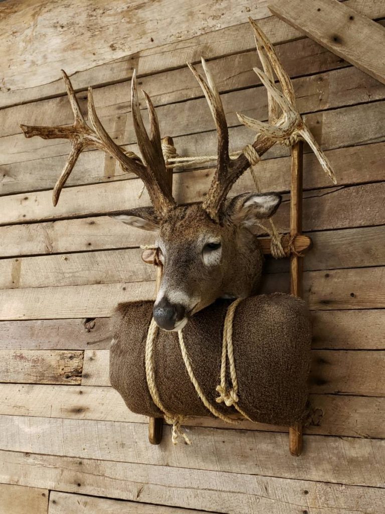 Packmount Mannikin Head Revolution Taxidermy